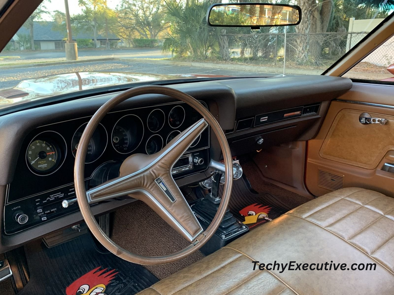 interior door sill trim 74 ranchero replacement